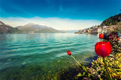 Italien Lombardei Comer See Bellagio